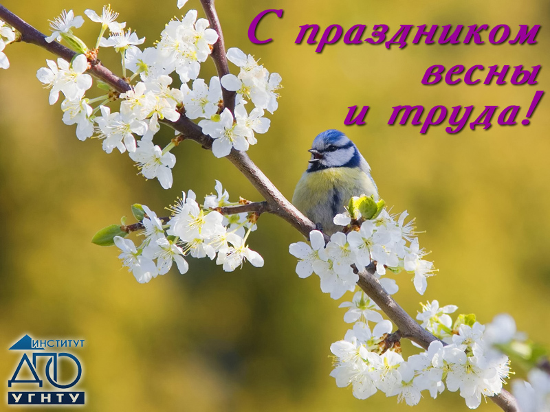Поздравляем с 1 Мая – праздником весны и труда!