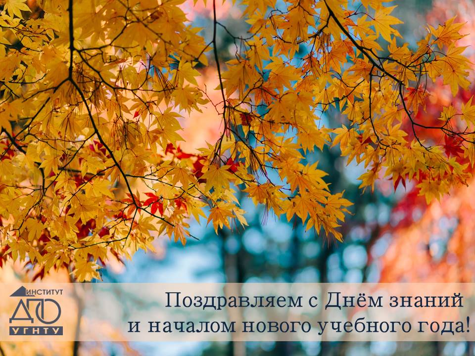 С Днем Нового Учебного Года С Днем Нового Учебного Года