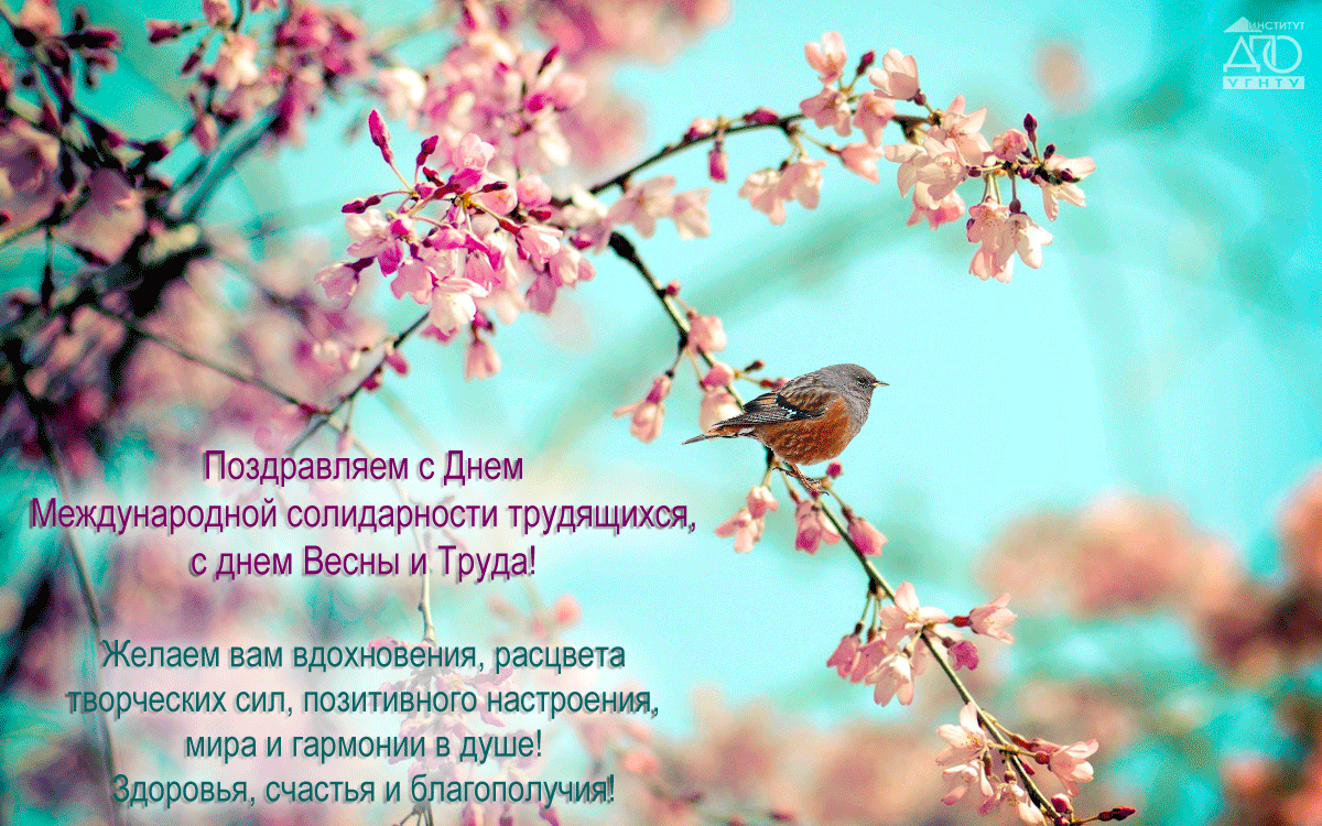 Поздравляем с Днем Международной солидарности трудящихся, с днем Весны и Труда! 2017